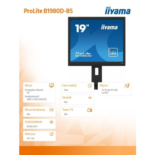 Monitor 19 cali B1980D-B5 DVI,VGA,PIVIOT,HAS/150mm,5:4 -9375856