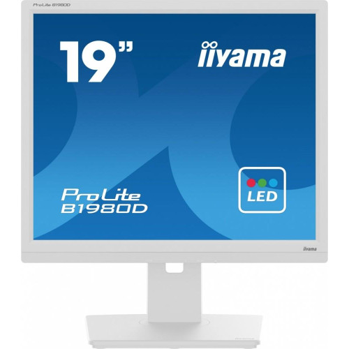 Monitor 19 cali B1980D-W5 DVI,VGA,PIVIOT,HAS/150mm,5:4 -9375858