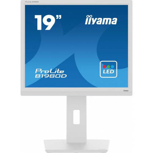 Monitor 19 cali B1980D-W5 DVI,VGA,PIVIOT,HAS/150mm,5:4 -9375870