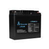 EXTRALINK AKUMULATOR LIFEPO4 12.8V 18AH-9399540