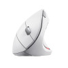 Mysz TRUST Verto Wireless vertical ergonomic White-9445944