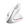 Mysz bezprzewodowa TRUST VERTO WIRELESS ERGO MOUSE WHT-9445947