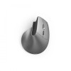 Mysz ergonomiczna BT EMW-700 -9817061