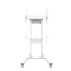 Stojak podłogowy mobilny FL55-875WH1-9971416